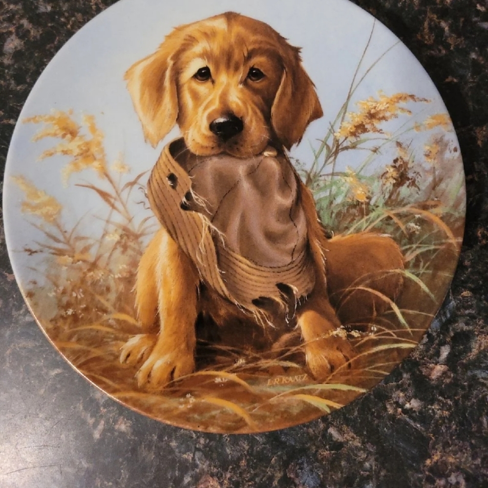 Bradford Exchange Collectors plate